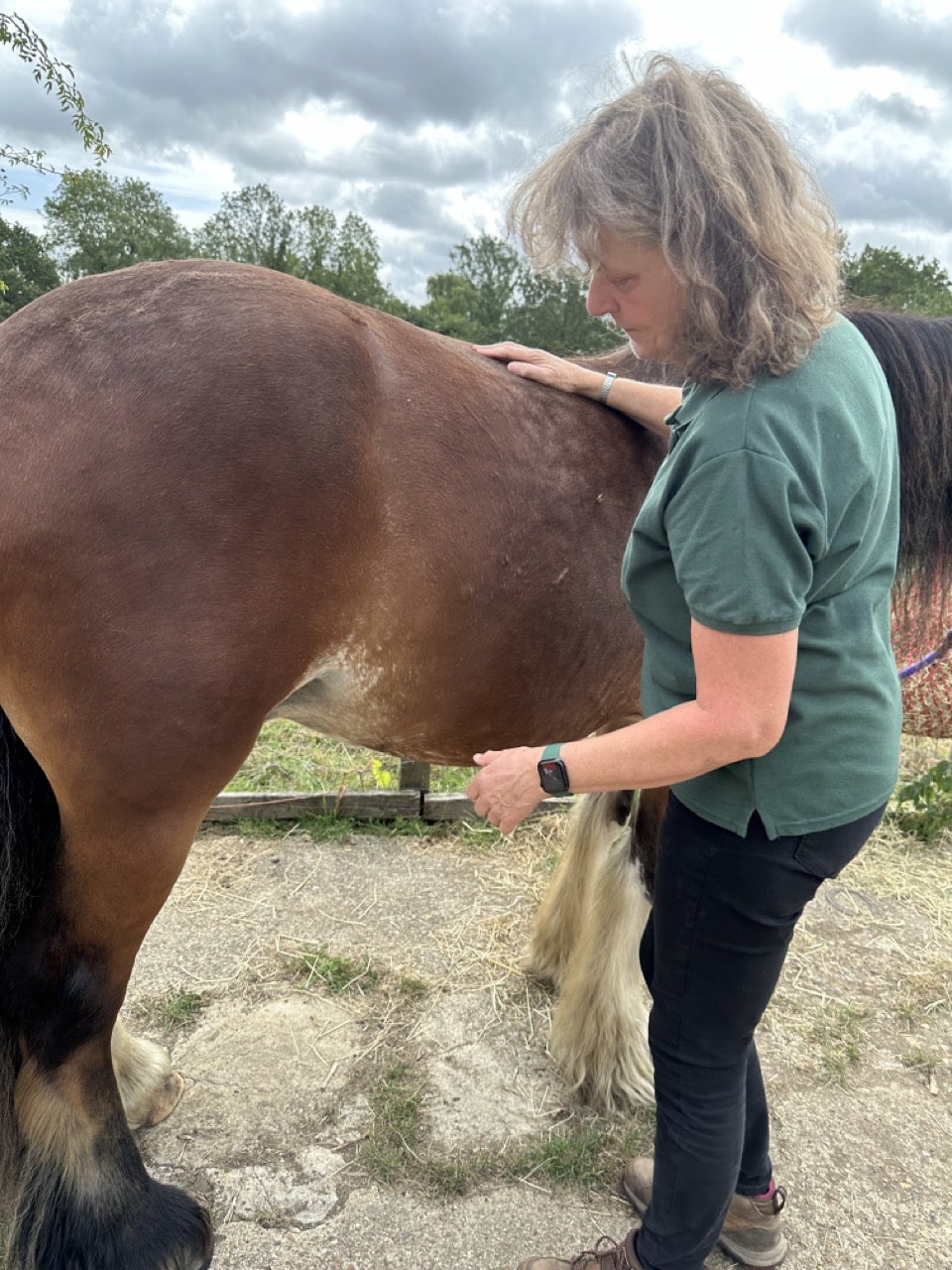 Kim practicing Equine Bowen Therapy