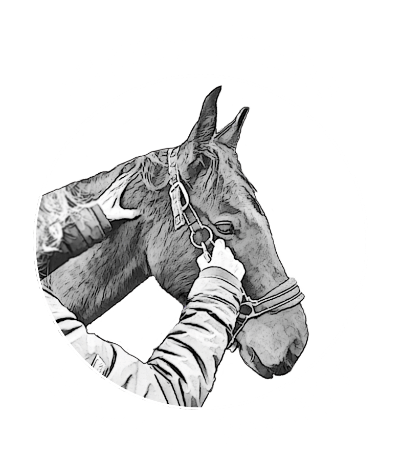 Surrey Equine Bowen Rodney Logo